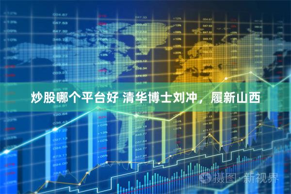 炒股哪个平台好 清华博士刘冲，履新山西